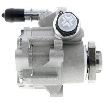 Bomba de dirección hidráulica VAICO V10-0577 compatible con VOLKSWAGEN Golf 3, Polo III y New Beetle