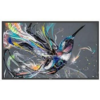 Philips 65BDL3550Q Q-Line - Pantalla LED de 163,9 cm