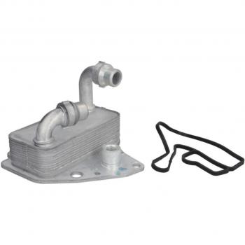 Enfriador de aceite THERMOTEC D4F008TT - Enfriador de aceite para motor, compatible con diversas marcas y modelos, fabricado en materiales de alta calidad, diseñado para mantener la temperatura óptima del aceite del motor,