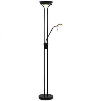 vidaXL LÃƒ¡mpara LED de pie regulable 23 W