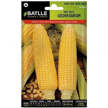 Semillas Hortícolas - Maíz dulce Golden Bantam - Batlle