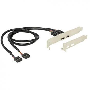 Soporte USB 2.0 interno con 2 conectores tipo C y perfil bajo