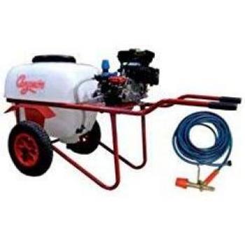CAMPEON M277993 - Carretilla pulverizadora sulfatadora cp4 1002 2 5cv