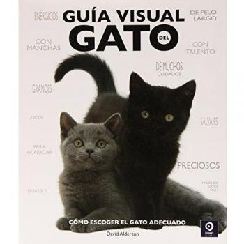 Guía visual del gato: como escoger al gato adecuado