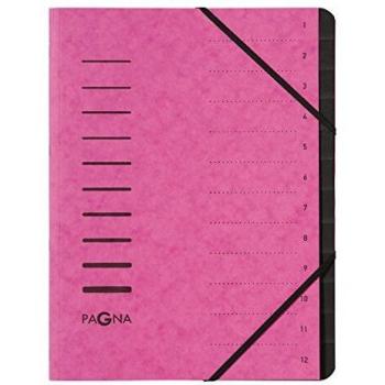 Carpeta organizadora PAGNA, archivador clasificador A4, 12 compartimentos, rosa oscuro