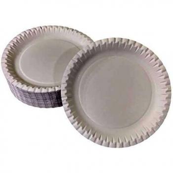 Plato desechable de papel blanco Ø 23 cm, 100 unidades, reciclable