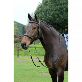 Horka bitless brida negroplata