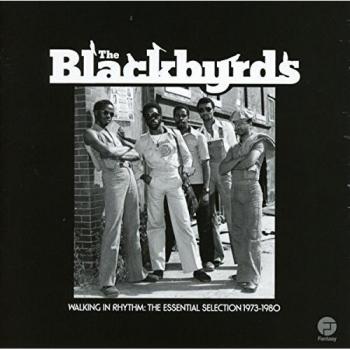 Walking In Rythm: The Essential Selection 1973-1980