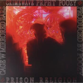 Cage With Mirrored Bars