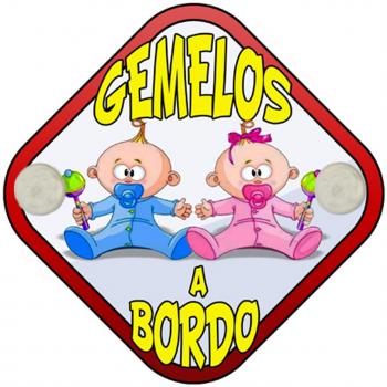 Placa bebé a bordo Gemelos a bordo niño y niña