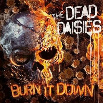 Burn it down vinilo