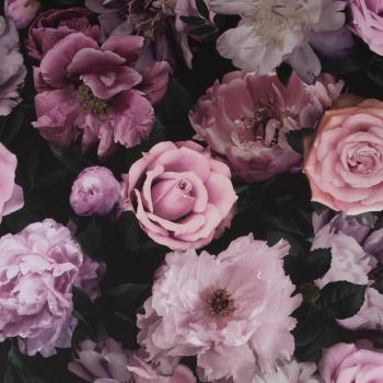Fresco Pink Pandora Drama Floral Wallpaper - Pink