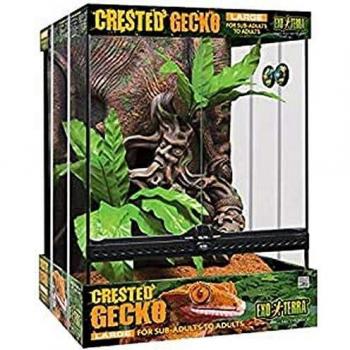 EXO TERRA Kit Terrario Cresta Gecko Grande, 45 x 45 x 60 cm