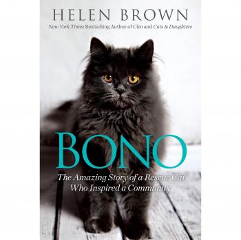 Bono: The Amazing Story of a Rescue Cat Who Inspired a Community