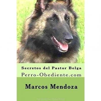 Secretos del Pastor Belga: Perro-Obediente.com