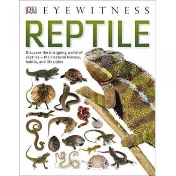 Reptile