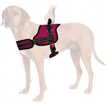 Nasjac Arnés No Pull, arnés para Perros con arnés Transpirable, Acolchado, Reflectante en la Parte Delantera y Trasera Arnés para Perros Ajustable con Dos Anillas Protectoras