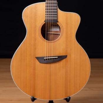 Ibanez PA230E 6-String Acoustic Electric Guitar, Macassar Ebony Fretboard, Natural Satin