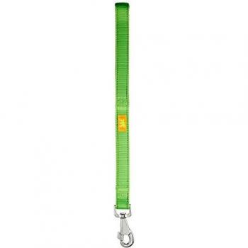 Ferplast Dual Lime Nylon Dog Lead