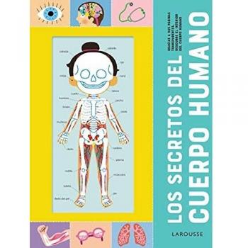 Los secretos del cuerpo humano