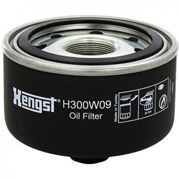 Hen H300W09 Bloque de Motor