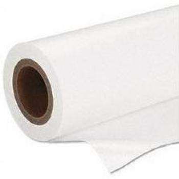 Epson Premium Semigloss Photo Paper, 16,5 x 30,5 m, 160 g/m² - Papel fotográfico