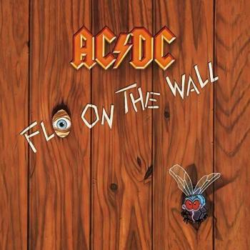 Fly On The Wall