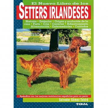 Setters Irlandeses