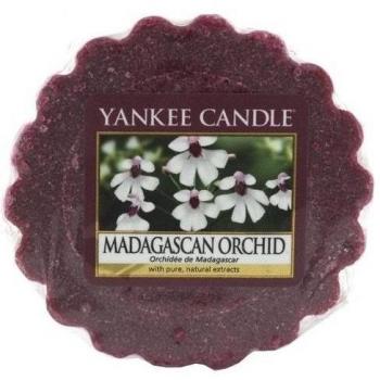 Yankee Candle 1344802E - 22 g Orquídea de Madagascar Tarta de mantequilla de Cera aromatica, cera, Color Rojo, 6x5.7x2 cm