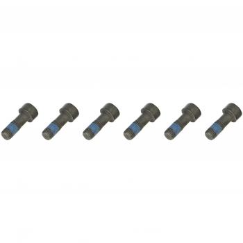 Luk 411 0132 10 Bloque de Motor