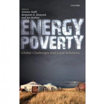 Energy Poverty: Global Challenges and Local Solutions