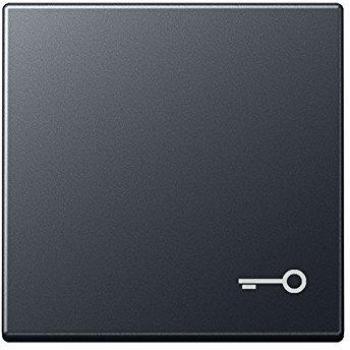 Tecla simple con símbolo puerta antracita mate