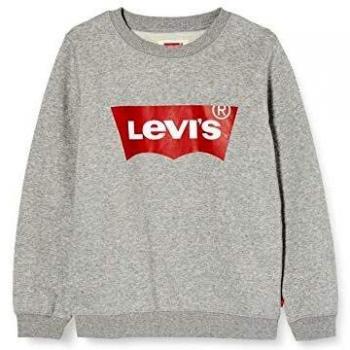 Sudadera Levi's Batwing Crewneck Boy Grey