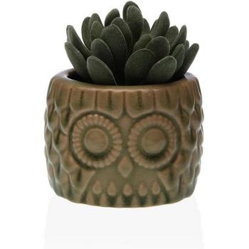 Planta suculenta en maceta de cerámica decorativa con diseño moderno