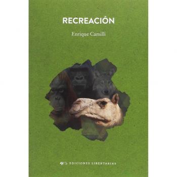 Recreación: 243