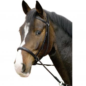 USG United Sportproducts Germany 14000028-400 Gebisslose Trense Connection mit Nasenriemen, Pony, Schwarzes Leder/Schwarz unterlegt