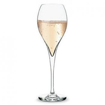 Copas en forma de fluta de Champagne Marne -160ml - Paquete de 6