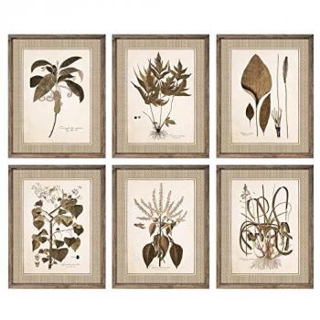 Cuadro Moderno de Plantas Botánicas DKD Home Decor (55 x 2,5 x 70 cm) - Pack de 6 Piezas