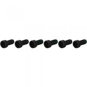 Luk 411 0133 10 Bloque de Motor