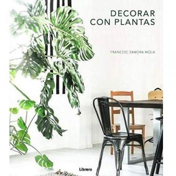 DECORAR CON PLANTAS