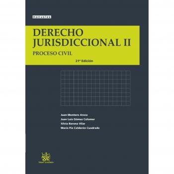 Derecho Jurisdiccional II Proceso Civil 21ª Ed. 2013