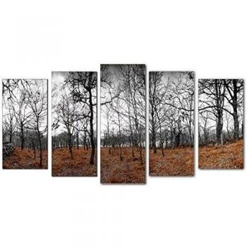 DekoArte 170 - Cuadro moderno, Bosque Otoño, 150 x 80 cm