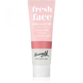 Barry M Fresh Face Cheek & Lip Tint - Summer Rose 10ml Liquid Blush and Gloss