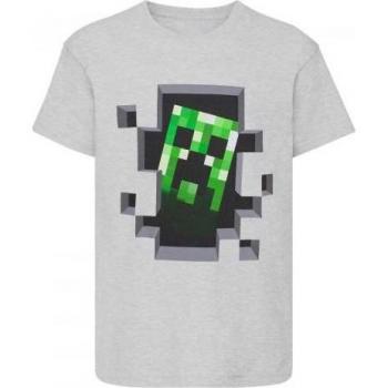 Camiseta Creeper de Minecraft para Niños de 3-4 Años en Gris