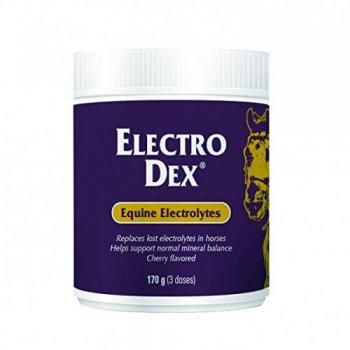 Electro Dex Mini 170g para Caballos, Color Morado - Recuperación de Deshidratación por Vetnova