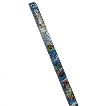 JBL SOLAR MARIN DAY 30 W, T8 fluorescent tube Solar, daylight tube for marine aquariums
