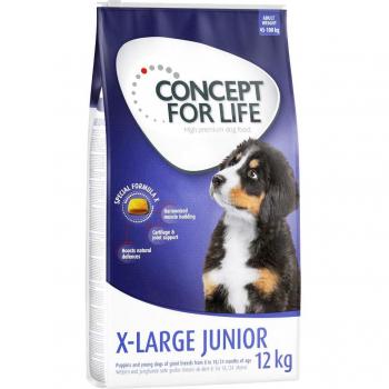 Concept for Life Dog Food - Economy Pack - X-Large Junior (2 x 12 kg)