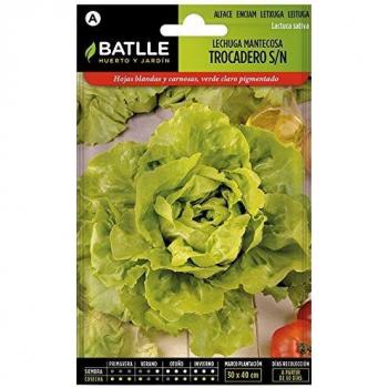Lechuga TROCADERO S/N