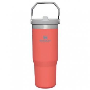Stanley IceFlow Flip Straw Tumbler 0.89L Guava - Size: one size - unisex