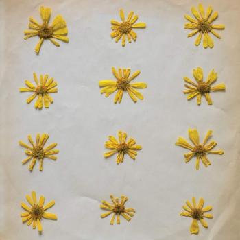 Vinilo Flores de Primavera